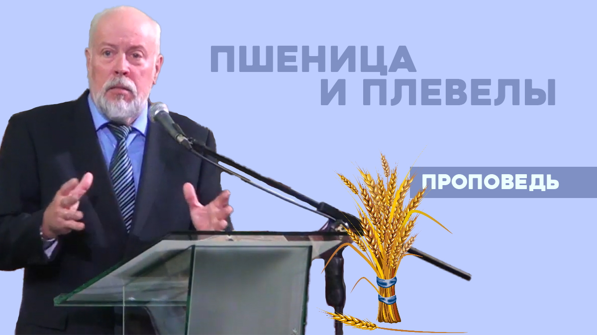 Владимир Зыбкин